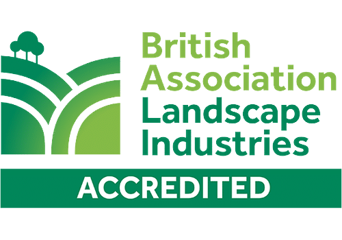 bali accredited bali accredited